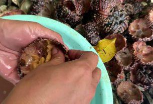 Caingget Beach Tagbilaran City, Bohol, Philippines