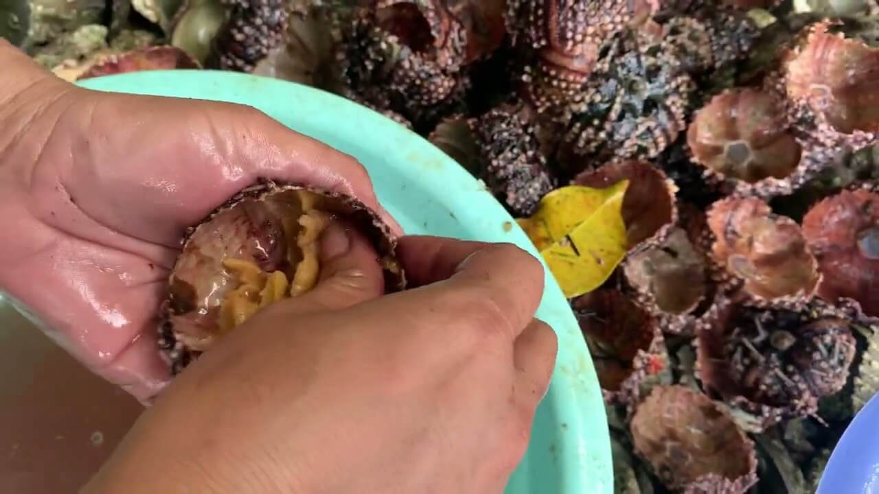 Caingget Beach Tagbilaran City, Bohol, Philippines